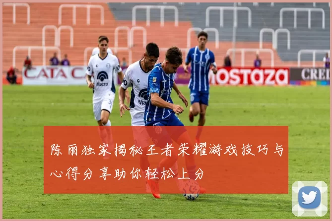 陈丽独家揭秘王者荣耀游戏技巧与心得分享助你轻松上分