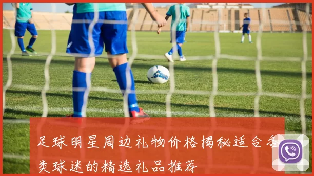 足球明星周边礼物价格揭秘适合各类球迷的精选礼品推荐