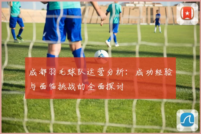 成都羽毛球队运营分析：成功经验与面临挑战的全面探讨