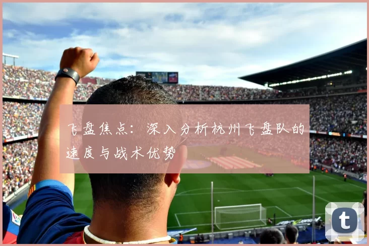 飞盘焦点：深入分析杭州飞盘队的速度与战术优势