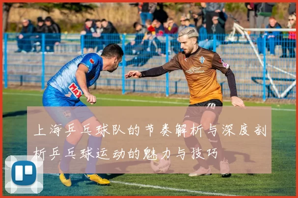 上海乒乓球队的节奏解析与深度剖析乒乓球运动的魅力与技巧