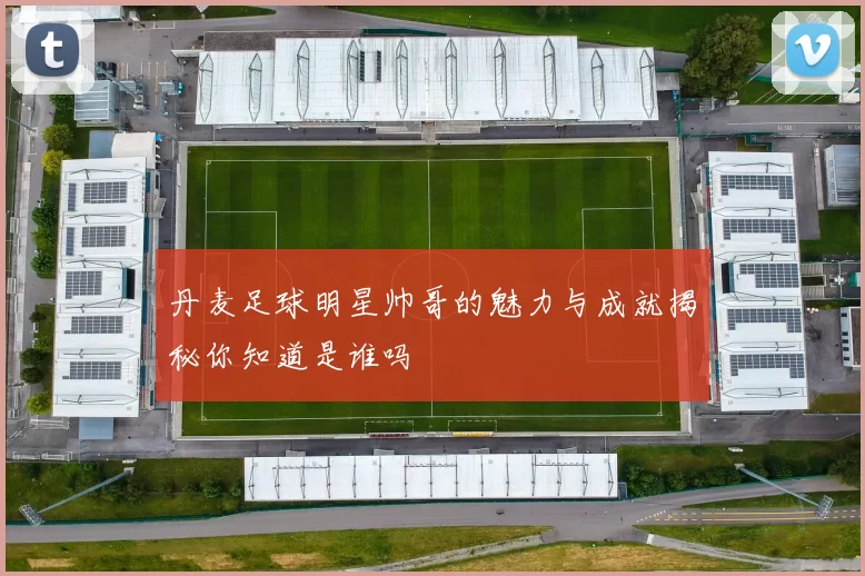 丹麦足球明星帅哥的魅力与成就揭秘你知道是谁吗