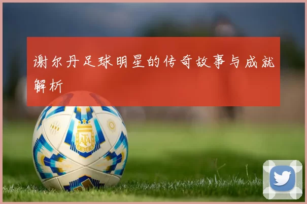 谢尔丹足球明星的传奇故事与成就解析