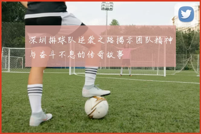 深圳排球队逆袭之路揭示团队精神与奋斗不息的传奇故事