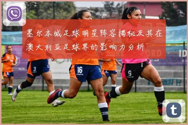 墨尔本城足球明星阵容揭秘及其在澳大利亚足球界的影响力分析