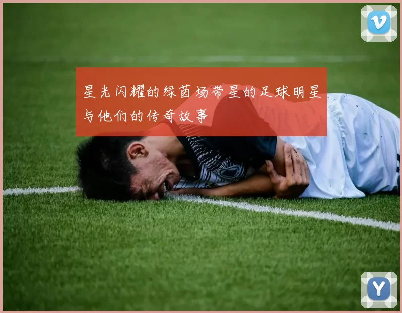 星光闪耀的绿茵场带星的足球明星与他们的传奇故事