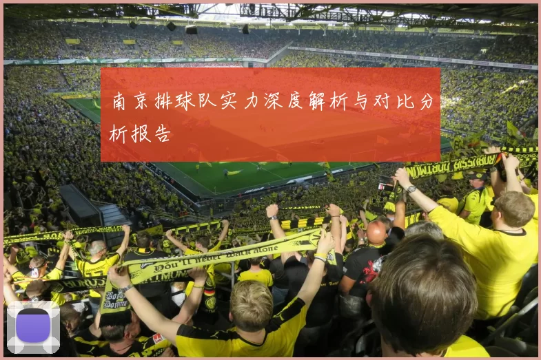 南京排球队实力深度解析与对比分析报告