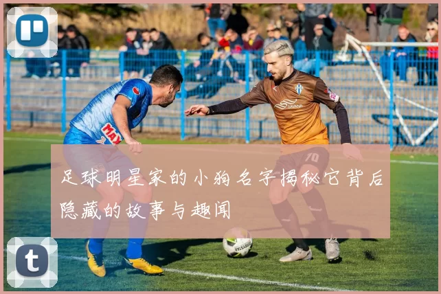 足球明星家的小狗名字揭秘它背后隐藏的故事与趣闻