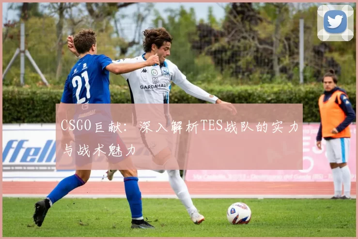CSGO巨献：深入解析TES战队的实力与战术魅力