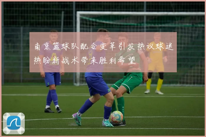 南京篮球队配合变革引发热议球迷热盼新战术带来胜利希望