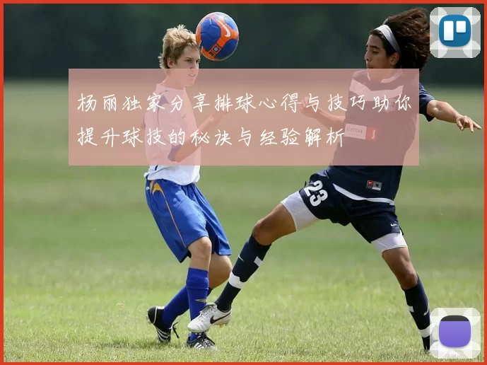 杨丽独家分享排球心得与技巧助你提升球技的秘诀与经验解析