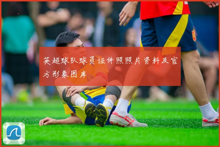 英超球队球员证件照照片资料及官方形象图库