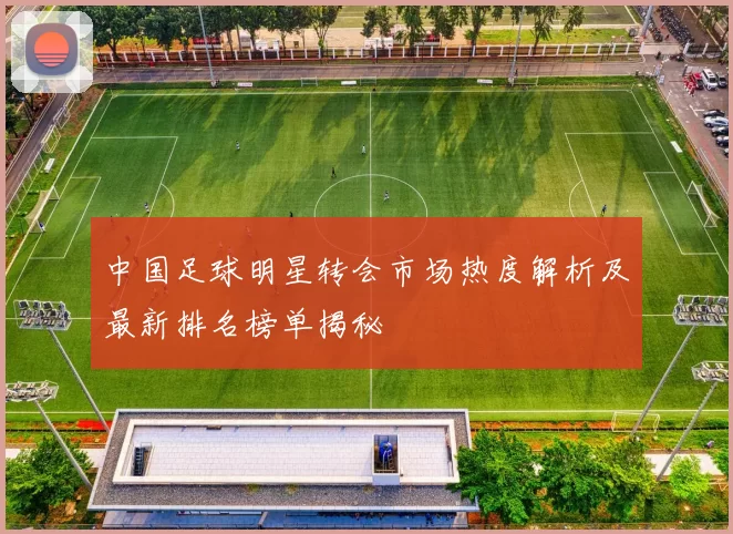 中国足球明星转会市场热度解析及最新排名榜单揭秘
