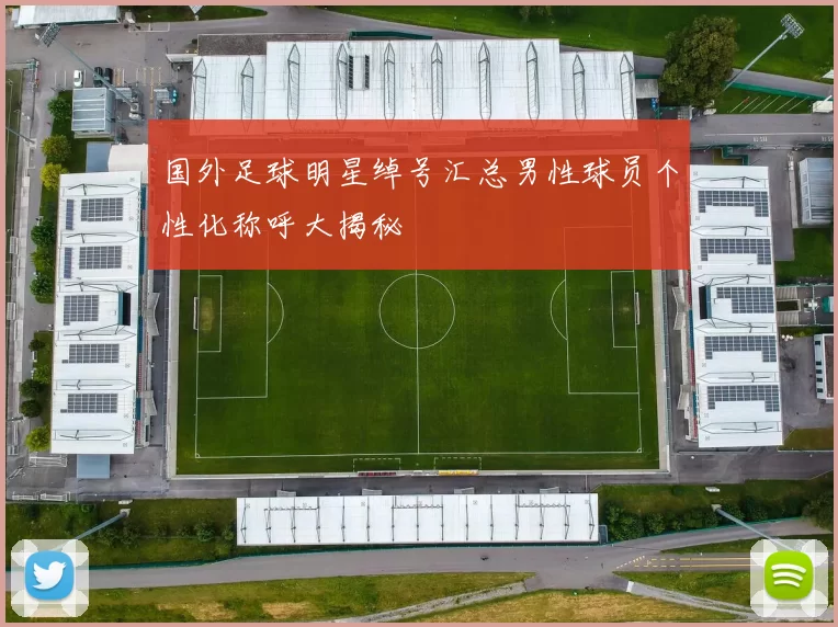 国外足球明星绰号汇总男性球员个性化称呼大揭秘