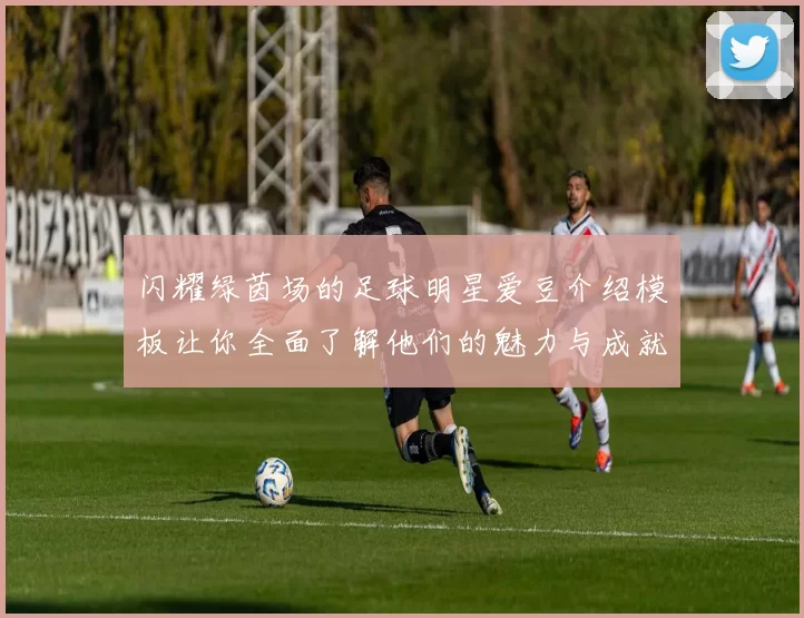 闪耀绿茵场的足球明星爱豆介绍模板让你全面了解他们的魅力与成就