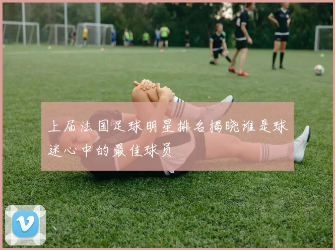 上届法国足球明星排名揭晓谁是球迷心中的最佳球员