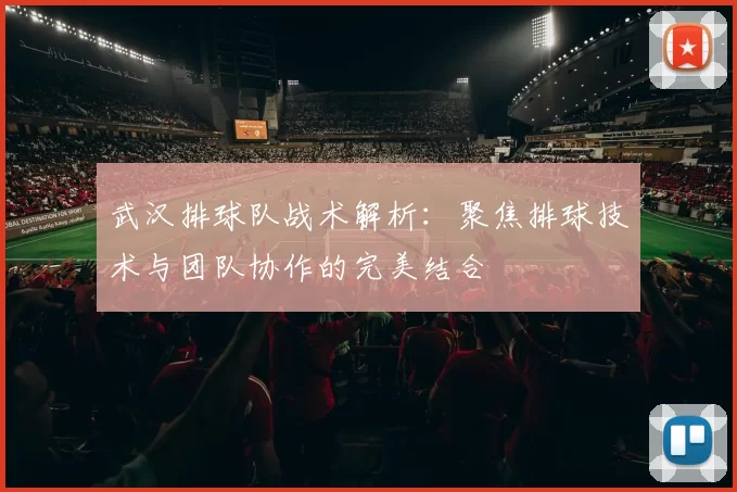 武汉排球队战术解析：聚焦排球技术与团队协作的完美结合