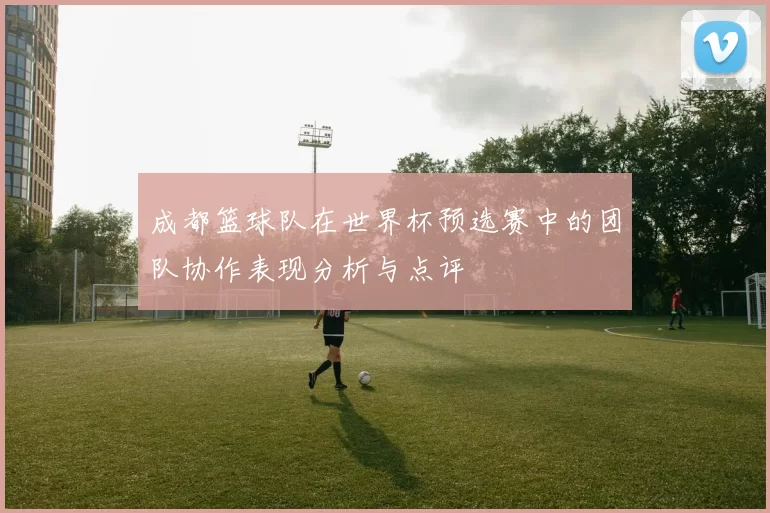 成都篮球队在世界杯预选赛中的团队协作表现分析与点评